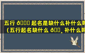 五行 🐒 起名是缺什么补什么吗（五行起名缺什么 🌸 补什么吗跟喜用神是啥意思）